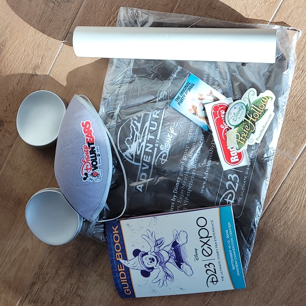 2009 Disney Expo Swag Bag